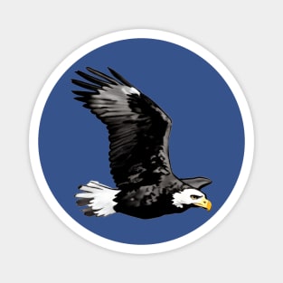 Flying Bald Eagle Magnet